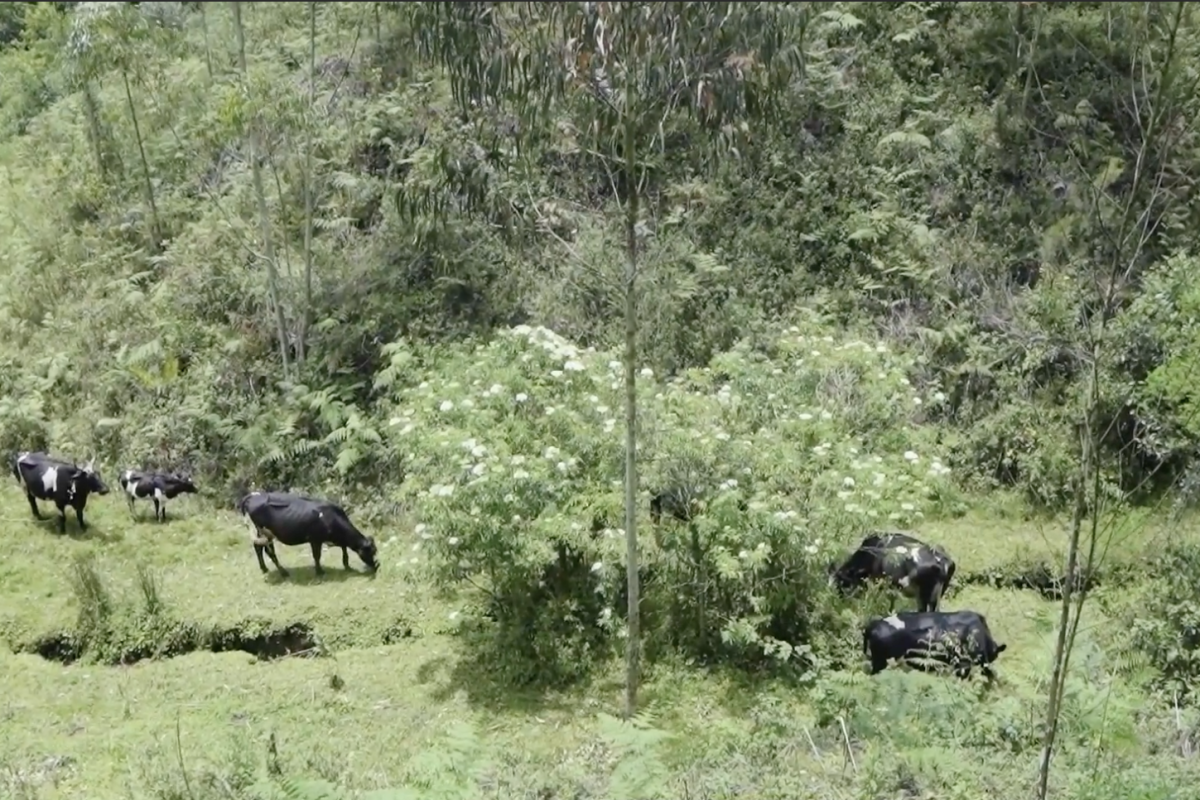 Screenshot 2024-04-14 at 13.58.05